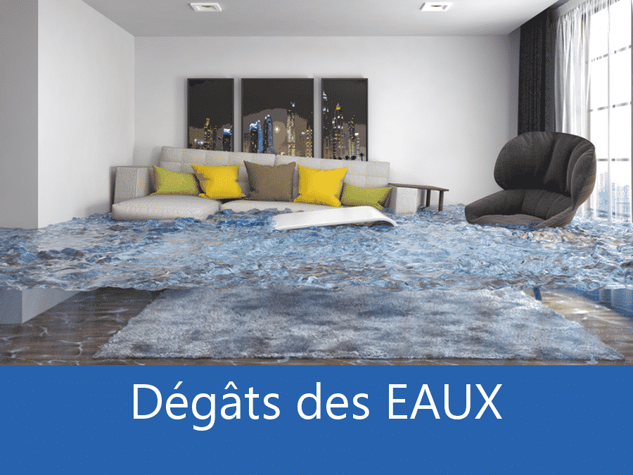 expertise humidité Saint-Denis, expert humidité 93, cause moisissure Épinay-sur-Seine, solutions humidité Le Blanc-Mesnil,