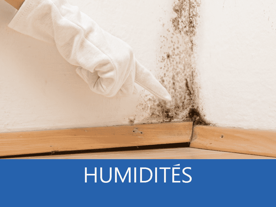 expertise humidité 93, expert humidité Bondy, cause moisissure Seine-Saint-Denis, solutions humidité La Courneuve ,